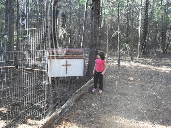 Photo of Lost Sheep Ministry 's Heart of a Cowboy Church