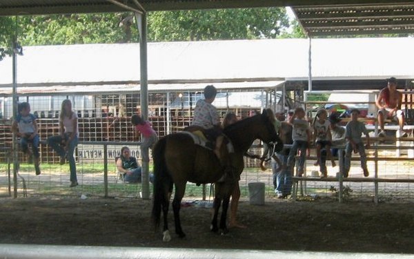 Photo of Lost Sheep Ministry 's Heart of a Cowboy Church