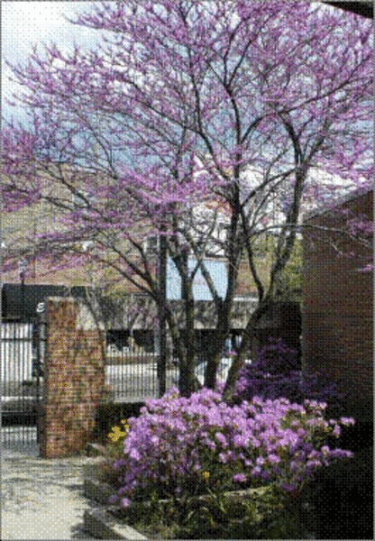 Photo of Broadway United Methodist Church