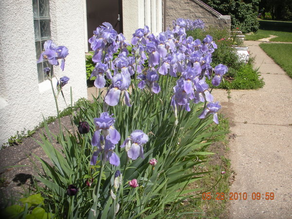 Photo of Saint Paul Apostolic Tabernacle