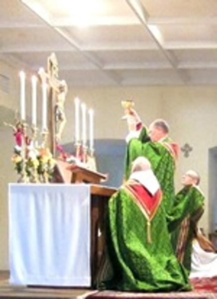 Photo of Our Lady of the Annunciation [Latin] Catholic Church