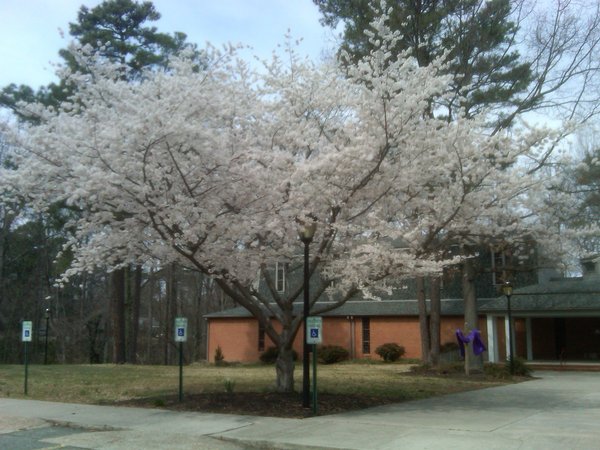 Photo of Christ Lutheran Church