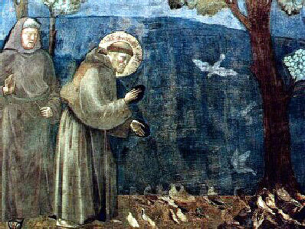 Photo of Saint Davids