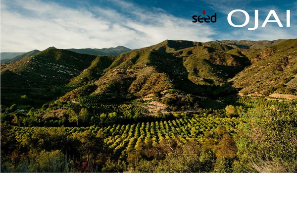 Photo of Seed Communities