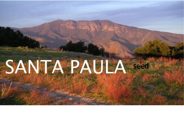 Photo of Seed Communities