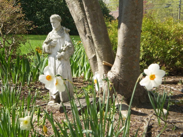 Photo of Grace Church