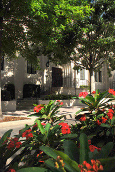 Photo of Cathedral Church of St Luke - Orlando, FL
