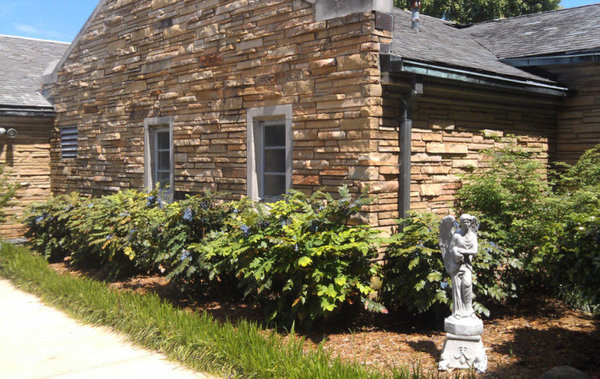 Photo of Chattanooga First