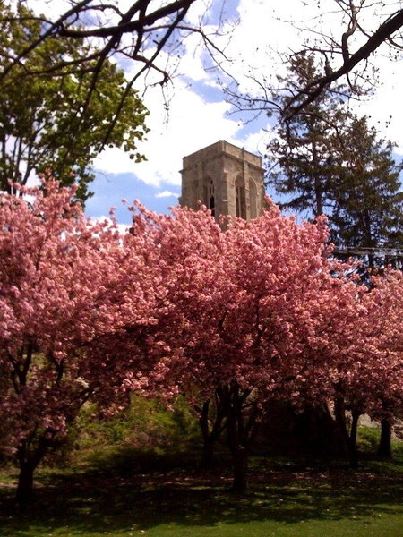 Photo of St. Stephen's, Cohasset